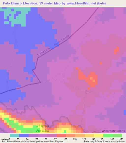 Palo Blanco,Dominican Republic Elevation Map