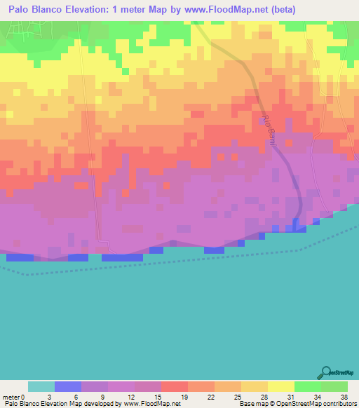 Palo Blanco,Dominican Republic Elevation Map