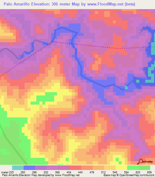 Palo Amarillo,Dominican Republic Elevation Map