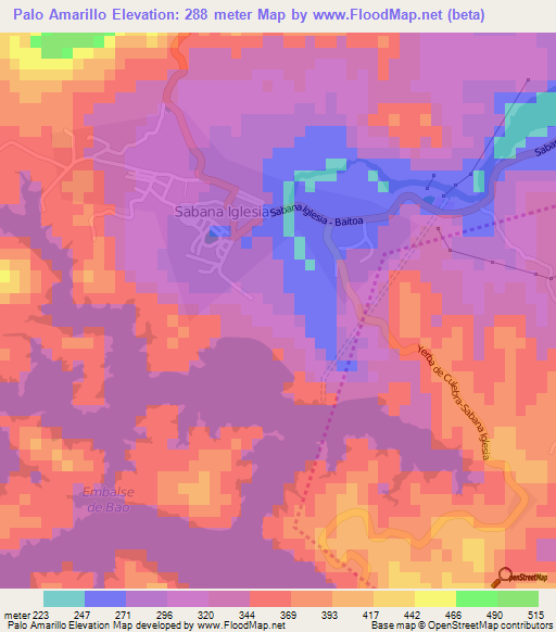 Palo Amarillo,Dominican Republic Elevation Map