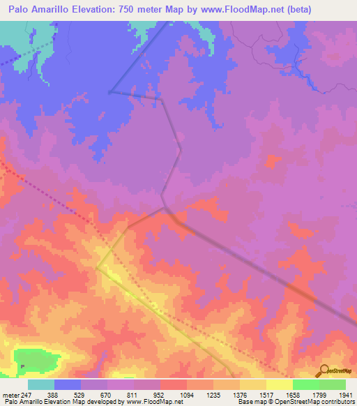 Palo Amarillo,Dominican Republic Elevation Map