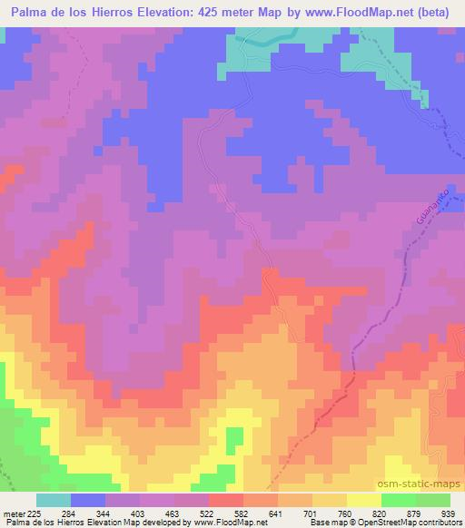 Palma de los Hierros,Dominican Republic Elevation Map