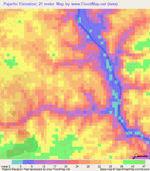 Pajarito,Dominican Republic Elevation Map