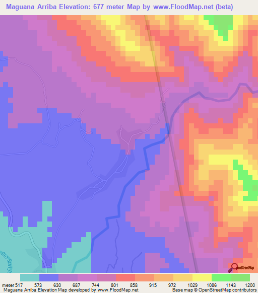 Maguana Arriba,Dominican Republic Elevation Map