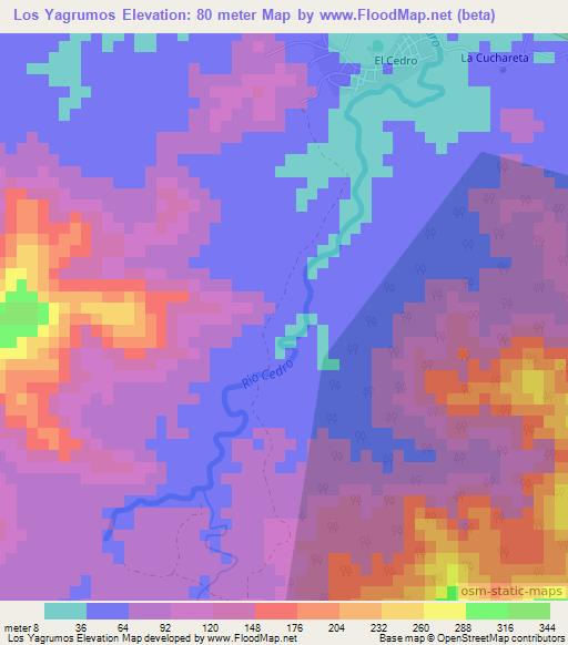 Los Yagrumos,Dominican Republic Elevation Map