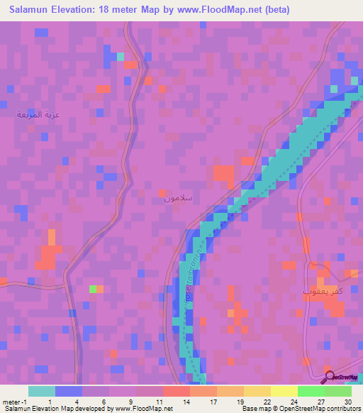 Salamun,Egypt Elevation Map