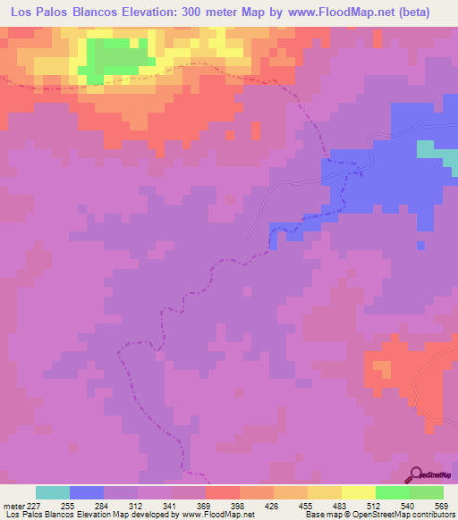 Los Palos Blancos,Dominican Republic Elevation Map