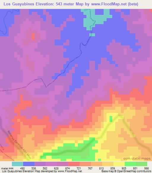 Los Guayubines,Dominican Republic Elevation Map