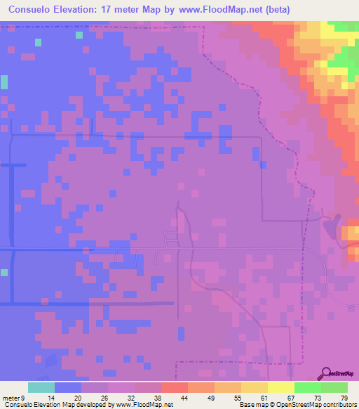 Consuelo,Dominican Republic Elevation Map