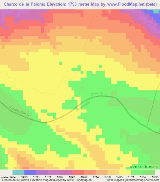 Charco de la Paloma,Dominican Republic Elevation Map