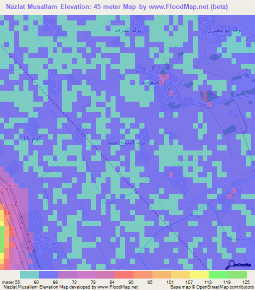 Nazlat Musallam,Egypt Elevation Map