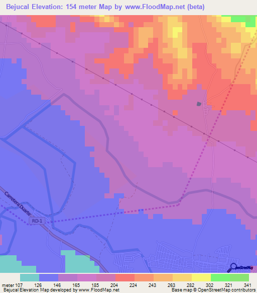 Bejucal,Dominican Republic Elevation Map