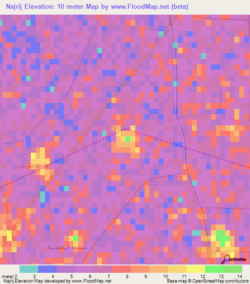 Najrij,Egypt Elevation Map