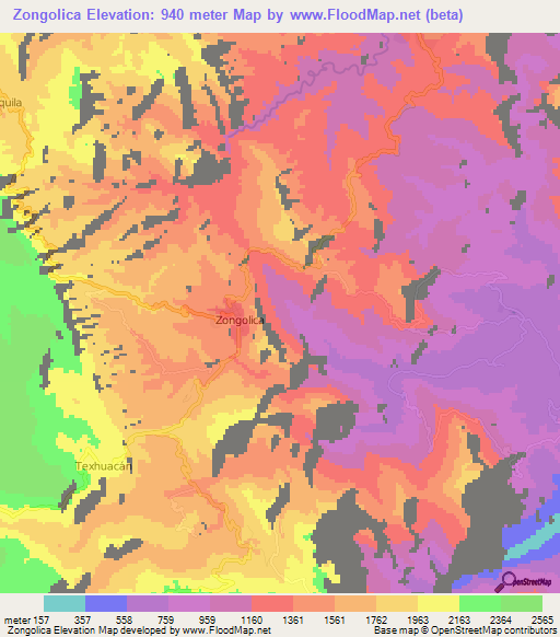 Zongolica,Mexico Elevation Map