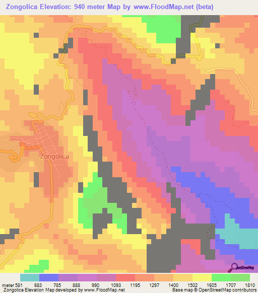 Zongolica,Mexico Elevation Map