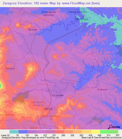 Zaragoza,Mexico Elevation Map