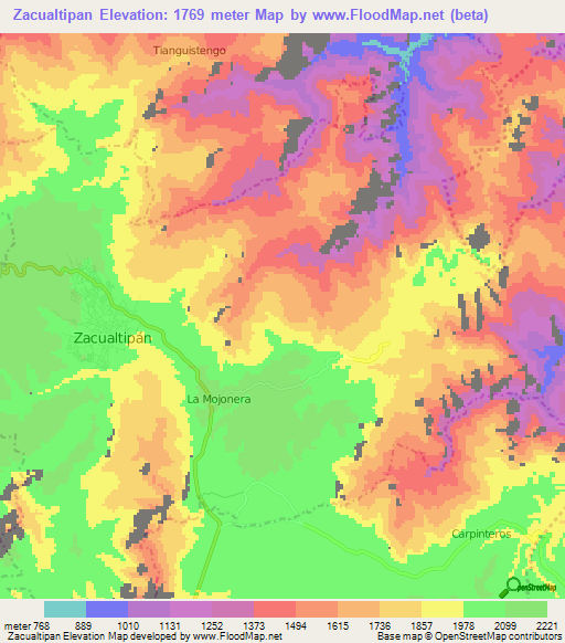 Zacualtipan,Mexico Elevation Map