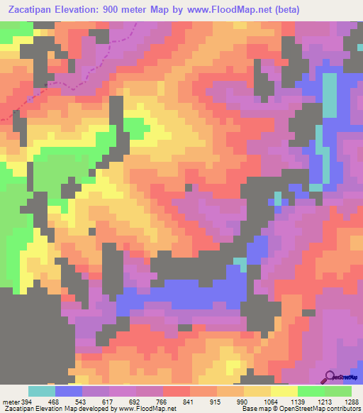 Zacatipan,Mexico Elevation Map