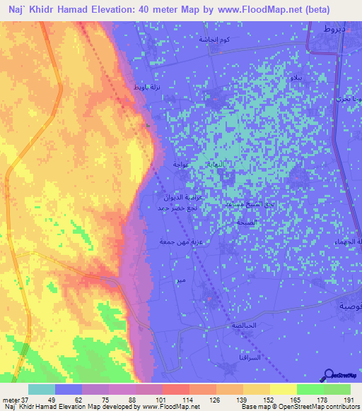 Naj` Khidr Hamad,Egypt Elevation Map