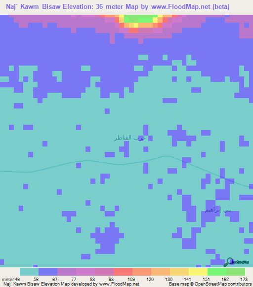 Naj` Kawm Bisaw,Egypt Elevation Map