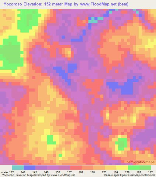 Yocoroso,Mexico Elevation Map