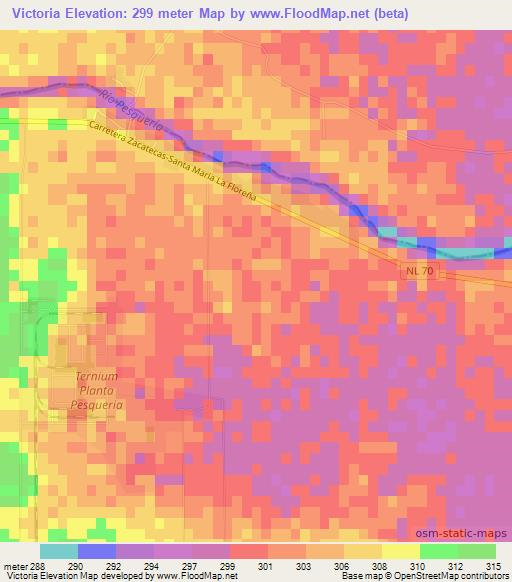 Victoria,Mexico Elevation Map