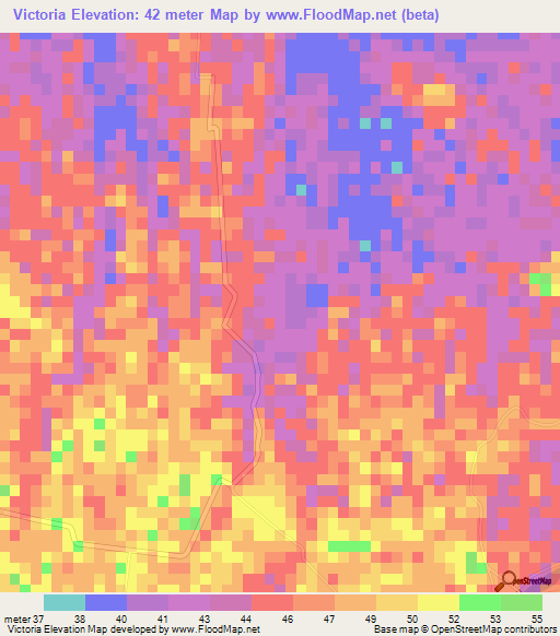 Victoria,Mexico Elevation Map