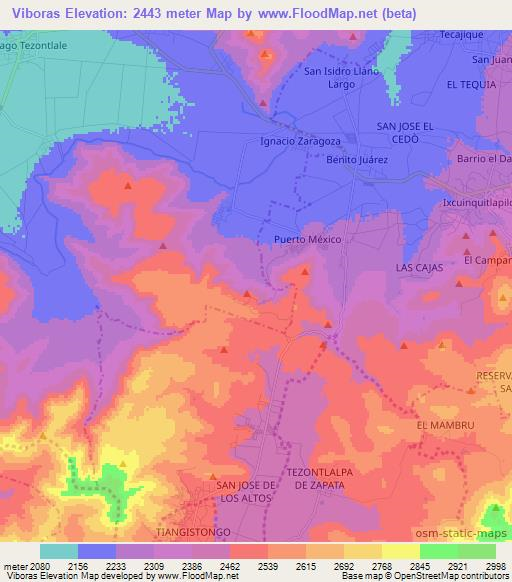 Viboras,Mexico Elevation Map