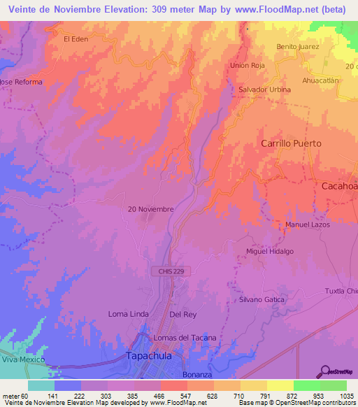 Veinte de Noviembre,Mexico Elevation Map