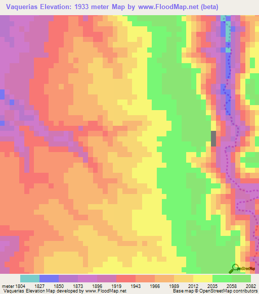 Vaquerias,Mexico Elevation Map