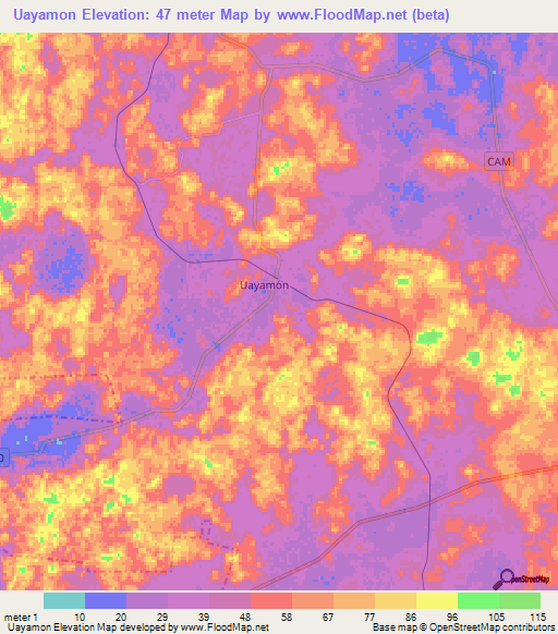 Uayamon,Mexico Elevation Map