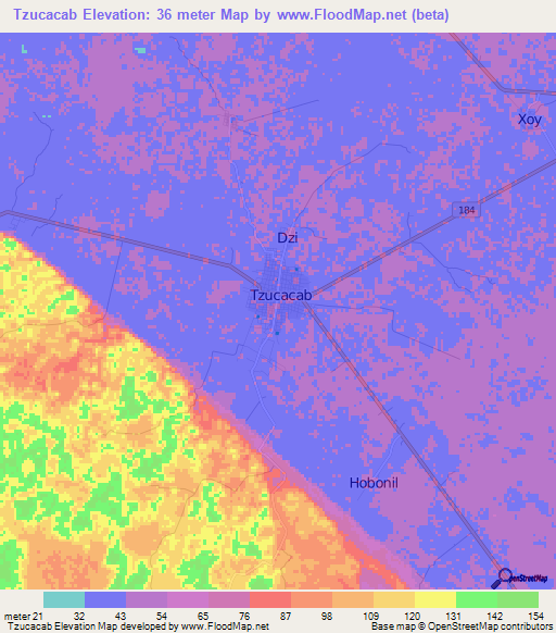 Tzucacab,Mexico Elevation Map