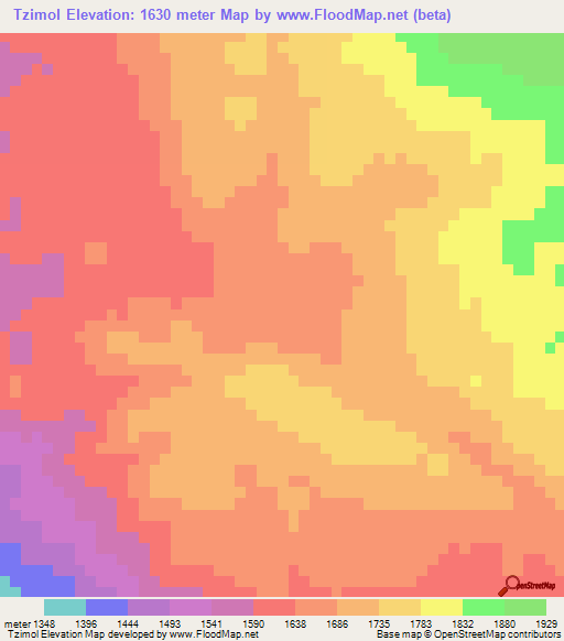 Tzimol,Mexico Elevation Map