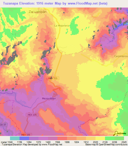 Tuzanapa,Mexico Elevation Map