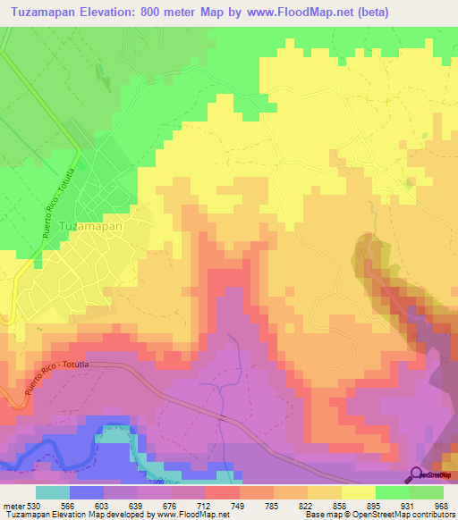 Tuzamapan,Mexico Elevation Map