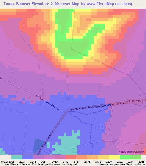 Tunas Blancas,Mexico Elevation Map