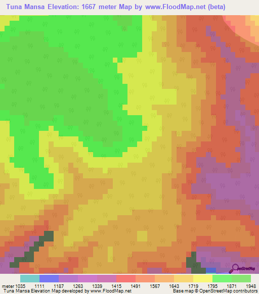 Tuna Mansa,Mexico Elevation Map