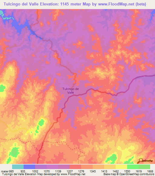 Tulcingo del Valle,Mexico Elevation Map