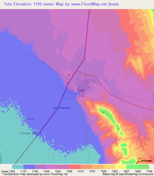 Tula,Mexico Elevation Map