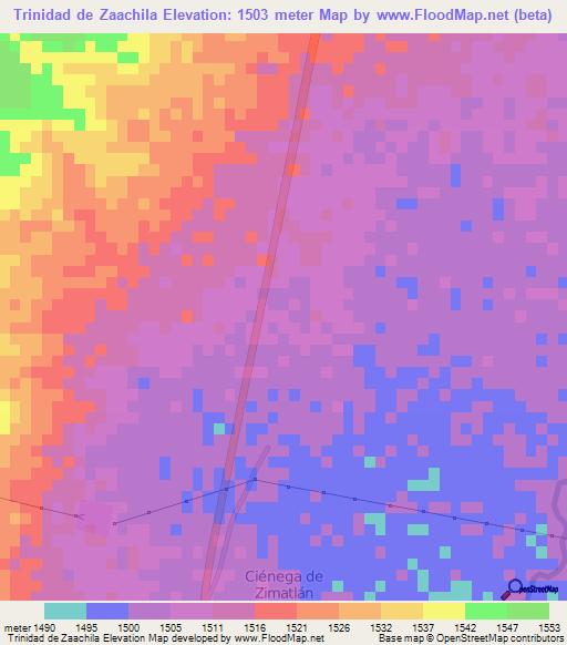 Trinidad de Zaachila,Mexico Elevation Map