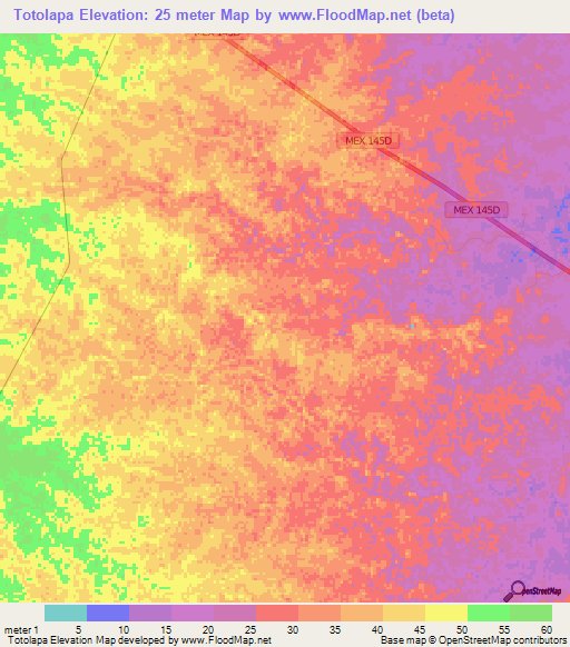 Totolapa,Mexico Elevation Map