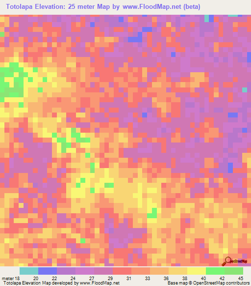 Totolapa,Mexico Elevation Map