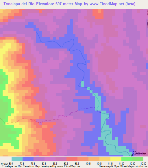 Tonalapa del Rio,Mexico Elevation Map