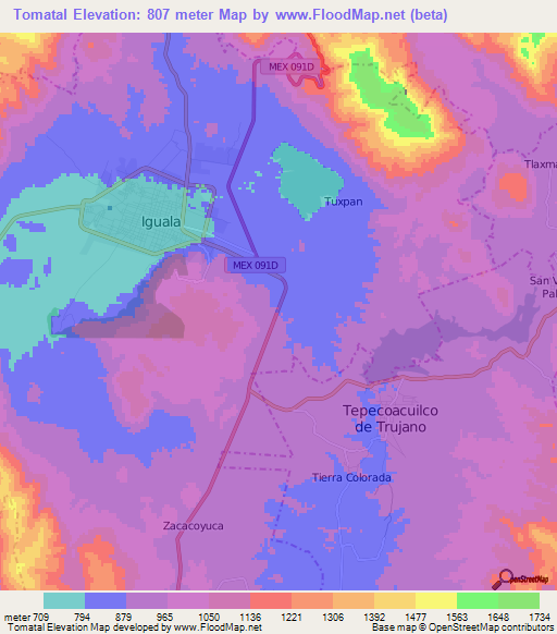 Tomatal,Mexico Elevation Map