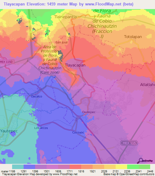 Tlayacapan,Mexico Elevation Map