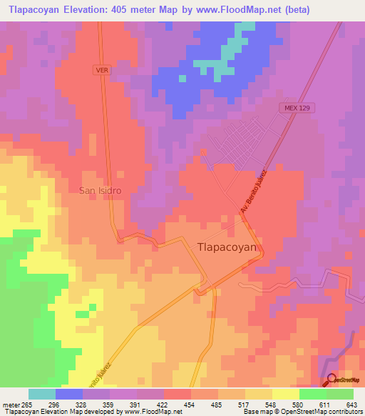 Tlapacoyan,Mexico Elevation Map