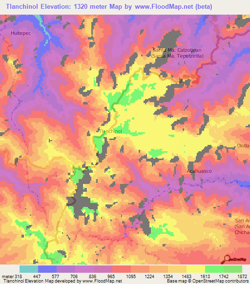 Tlanchinol,Mexico Elevation Map