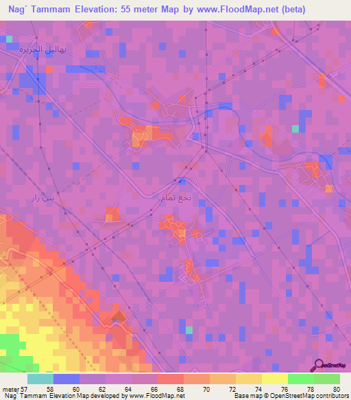 Nag` Tammam,Egypt Elevation Map