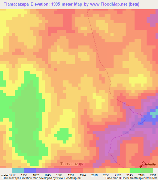 Tlamacazapa,Mexico Elevation Map