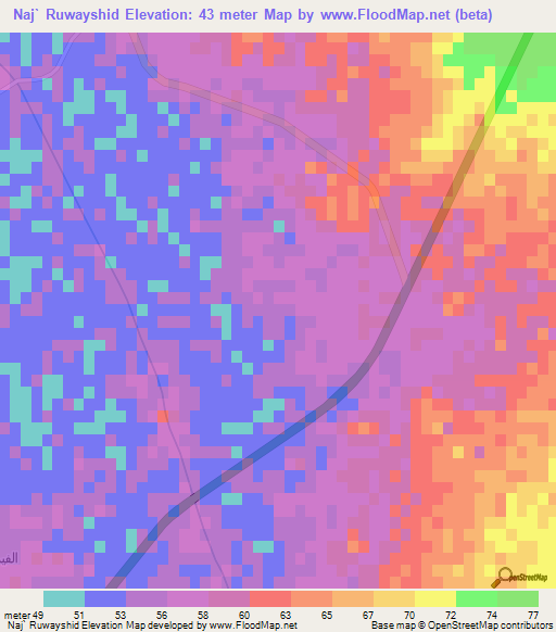 Naj` Ruwayshid,Egypt Elevation Map